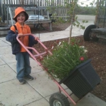 Young Helper